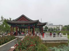 -西海子公园