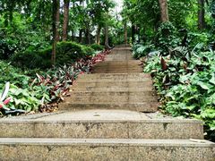 -南岗山公园