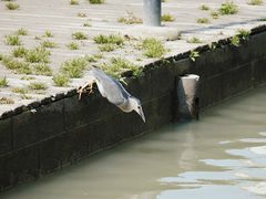 -苏州河梦清园环保主题公园