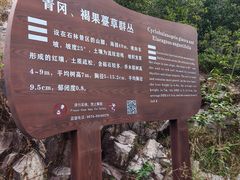 -花岙岛