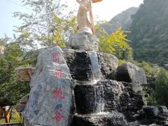 -大岭沟猕猴桃谷风景区