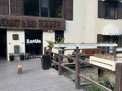 -泰莲庭·溪畔餐厅(雁栖湖店)