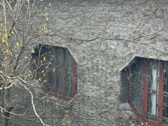 -梅园