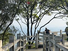 -广州市帽峰山景区