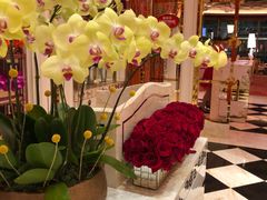 -咖啡苑 - 蔚藍夏日限定主题(永利皇宫店)