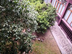 -扬州瘦西湖汇金酒店