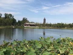 -西海子公园