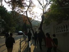 -香港大学