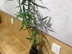 -拌面小当家