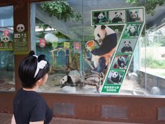 -海南热带野生动植物园