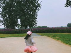 -汉长安城未央宫国家考古遗址公园