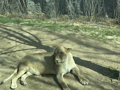 -北京野生动物园