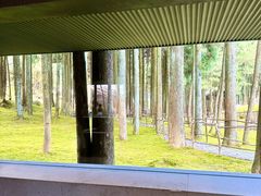 -玉苍山国家森林公园