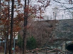 -白水寺森林公园