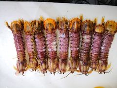 清蒸皮皮虾-北戴河庆山饭店·海鲜砂锅粥(北戴河黑石路店)