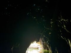 -怀托摩萤火虫洞