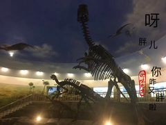 -嘉荫恐龙国家地质公园