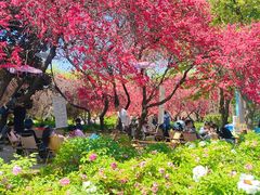 -洛阳市隋唐城遗址植物园