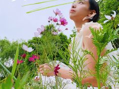 -阿林有机农庄
