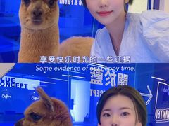 -Blue Concept Cafe&Farm·關於藍