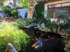 -鲤院·新中式美学·庭院餐厅(夫子庙店)