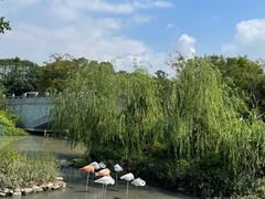 -宁波野生动物园