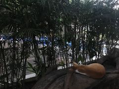 -喜洲吧·江畔老船厂·庭院餐厅(喜临院店)