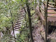 -碧峰峡风景区