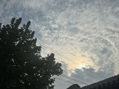-飞云楼