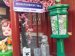 -泰山风景名胜区