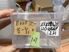 -酷以爬仙阁实体爬宠店·守宫·蜥蜴·专业繁育