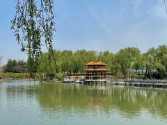 -洛阳市隋唐城遗址植物园