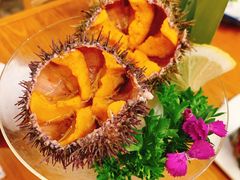 海胆-三月居酒屋(青年大街店)