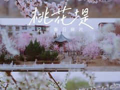 -桃花堤公园