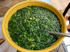 -月圆霖特色农家乐