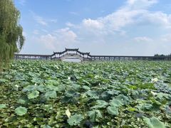 -同里国家湿地公园