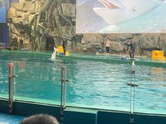 -威海华夏城景区