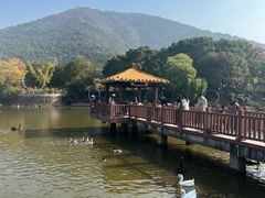 -无锡动物园·太湖欢乐园