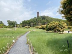 -红花山公园