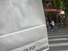 -WHEN PIGS FLY当猪飞