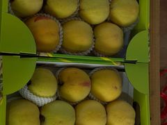 -南汇水蜜桃采摘(大团店)