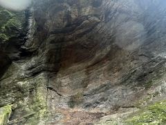 -牛背梁国家森林公园