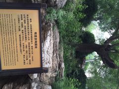 iphone_upload_pic-景山公园
