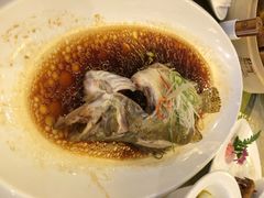 清蒸桂鱼-苏苑饭店-中餐厅(长桥地区店)
