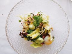 蝶舍沙拉-蝶舍·MAISON PAPILLON