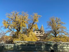-北京石刻艺术博物馆(五塔寺)