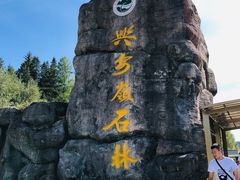 -汤旺河林海奇石景区