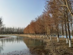 -苏州太湖国家湿地公园