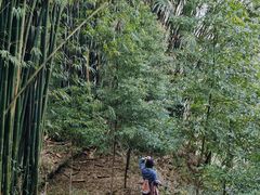 -凤栖山