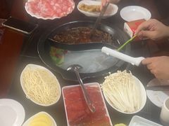 -陈府大宅门成都火锅·手切鲜肉(太原街店)